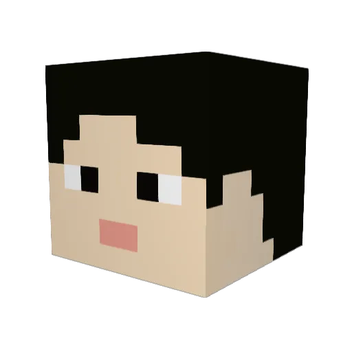 Albert_1007 Minecraft avatar head, 3D render