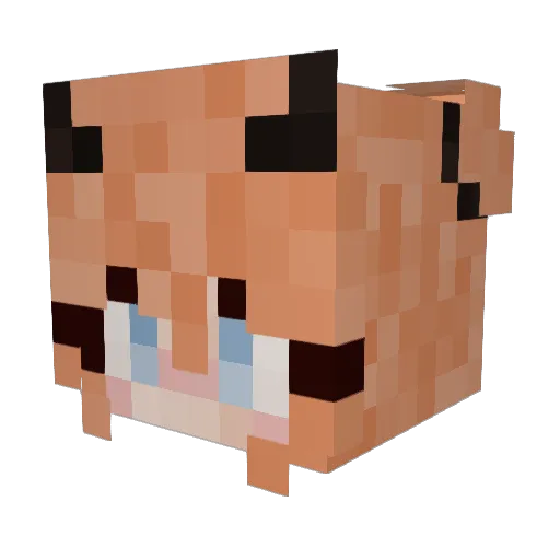 Albertymoon Minecraft avatar head, 3D render