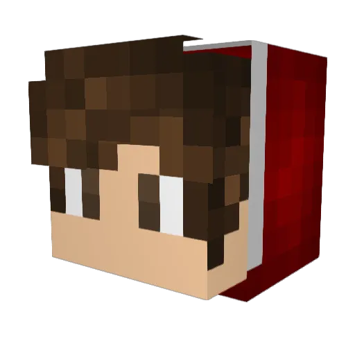 Albiceleste Minecraft avatar head, 3D render