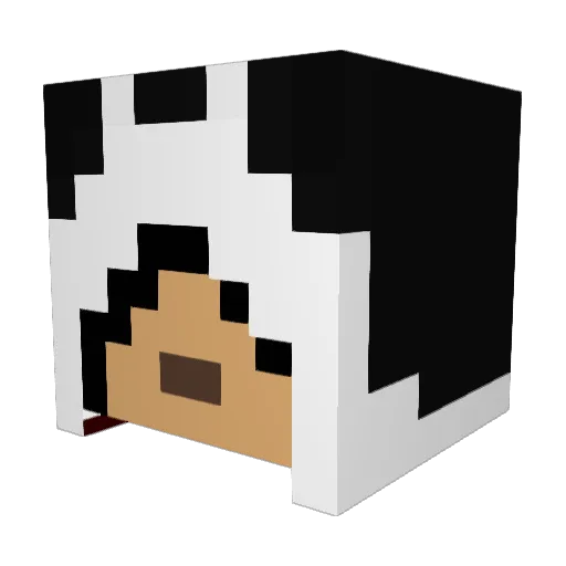 AlbiloCRAFT Minecraft avatar head, 3D render