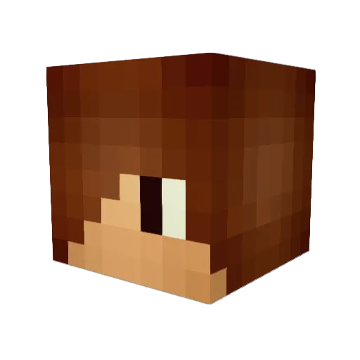 Albin22_2003 Minecraft avatar head, 3D render