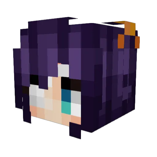 Albrecht210 Minecraft avatar head, 3D render