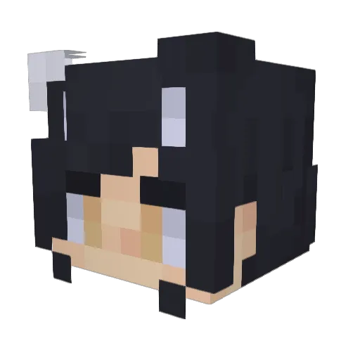 Alcachofi Minecraft avatar head, 3D render