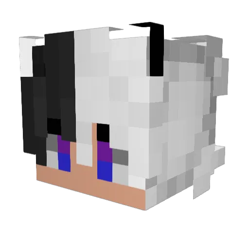Alchemist_Ren Minecraft avatar head, 3D render