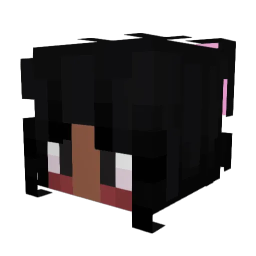 Alchemy1211 Minecraft avatar head, 3D render