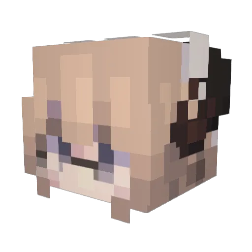 Alchemyse Minecraft avatar head, 3D render