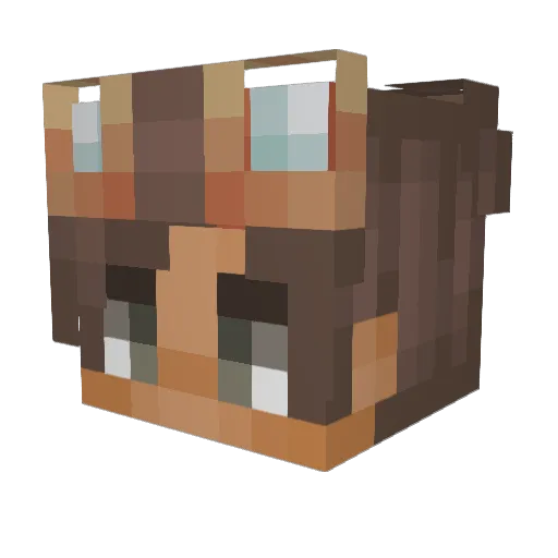 Alcimos Minecraft avatar head, 3D render