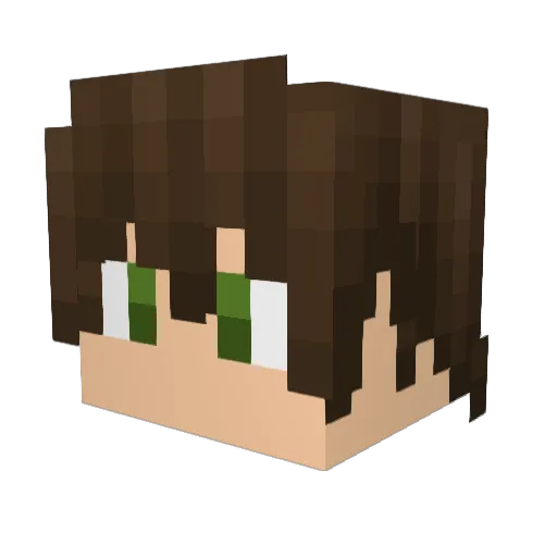 Alcoholic_isnice Minecraft avatar head, 3D render