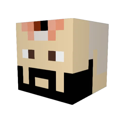 Aldeberon Minecraft avatar head, 3D render
