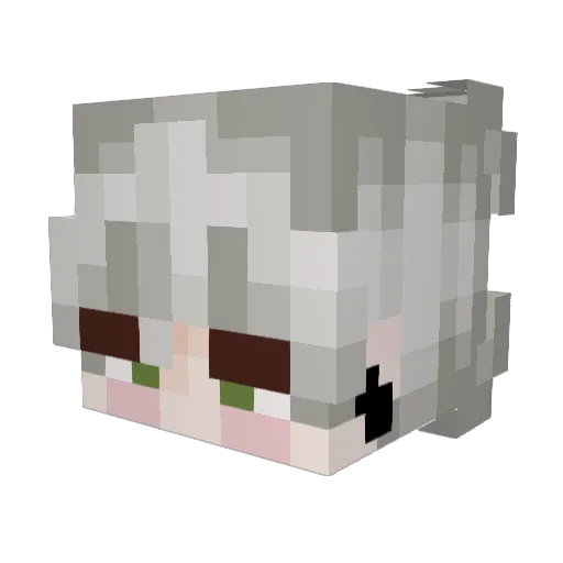 Aldegraft Minecraft avatar head, 3D render