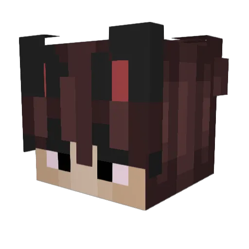 Alden4 Minecraft avatar head, 3D render