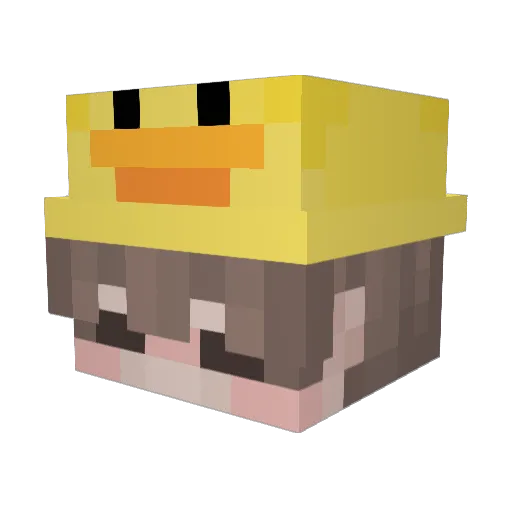 Aldukyy Minecraft avatar head, 3D render