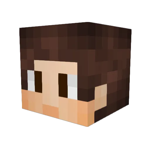 Ale11122 Minecraft avatar head, 3D render