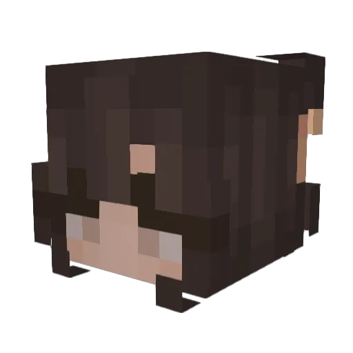 Ale169YT Minecraft avatar head, 3D render
