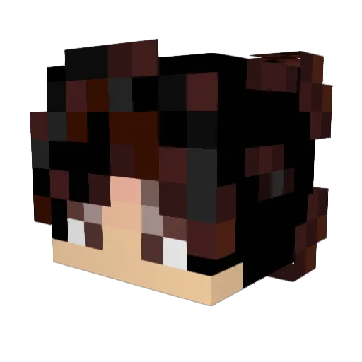 AleCRAFT1NG Minecraft avatar head, 3D render