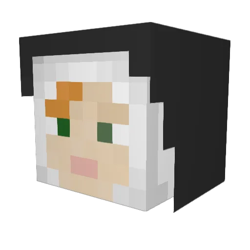 AleTuJebieTRUPEM Minecraft avatar head, 3D render