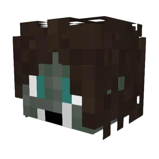 Alebongo6335 Minecraft avatar head, 3D render