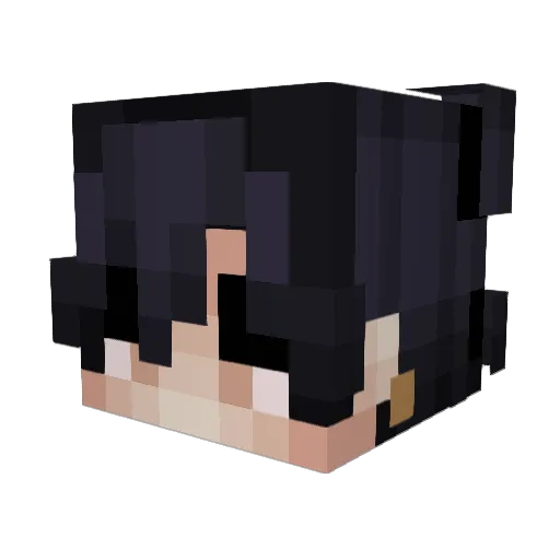Alec7456 Minecraft avatar head, 3D render