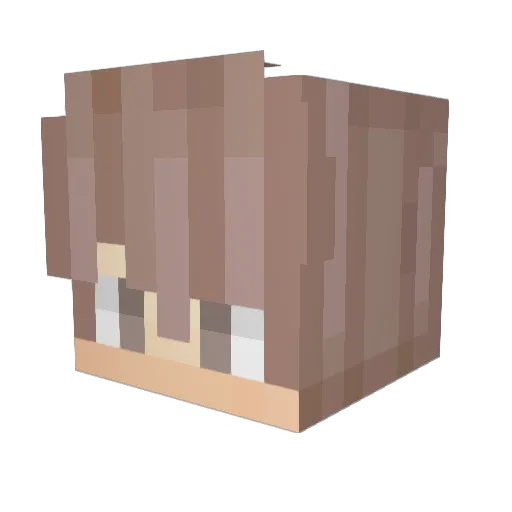 Alec_lin1125 Minecraft avatar head, 3D render