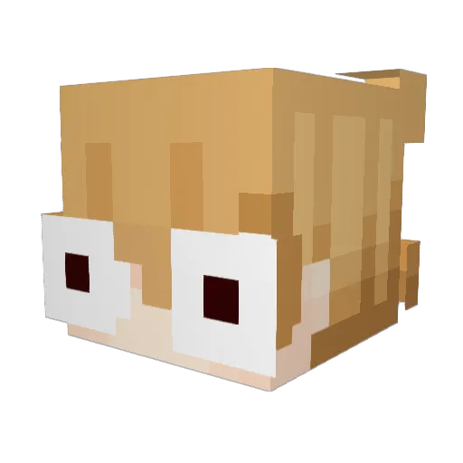 AlecitoCalita Minecraft avatar head, 3D render