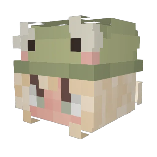 Alecje Minecraft avatar head, 3D render