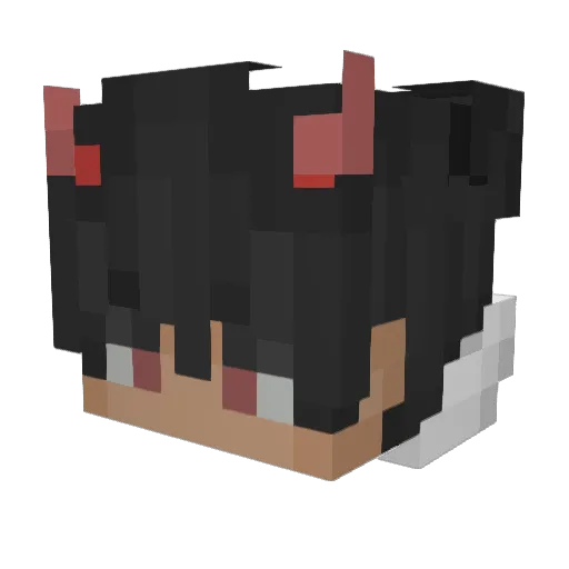Alecks1312 Minecraft avatar head, 3D render