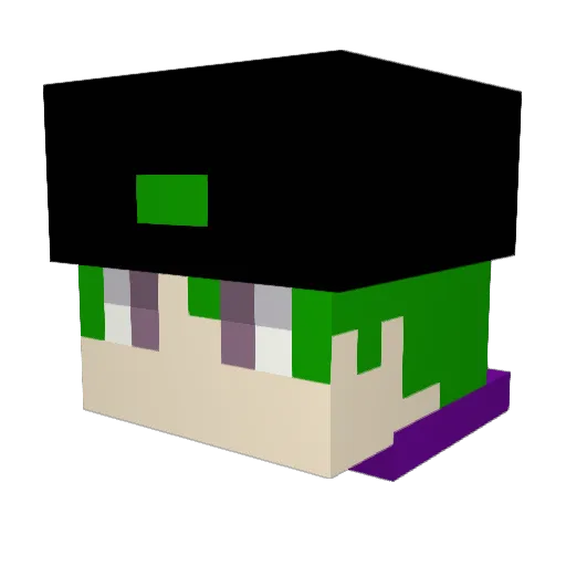 Alecss_fg Minecraft avatar head, 3D render