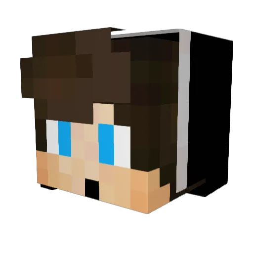 Aled3pa00 Minecraft avatar head, 3D render