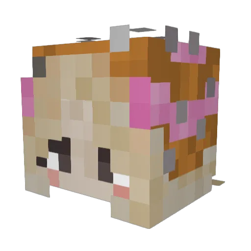 Alee1014 Minecraft avatar head, 3D render