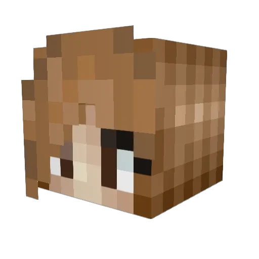 AleeRoseLee Minecraft avatar head, 3D render