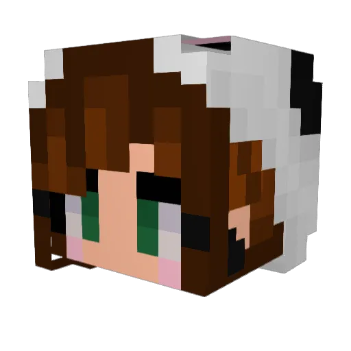 Aleebrr Minecraft avatar head, 3D render
