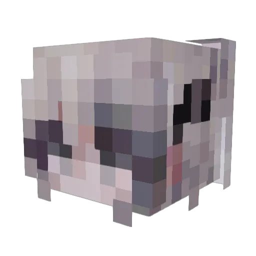 Aleee_223 Minecraft avatar head, 3D render