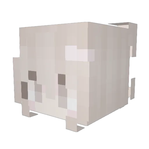 Aleehn Minecraft avatar head, 3D render