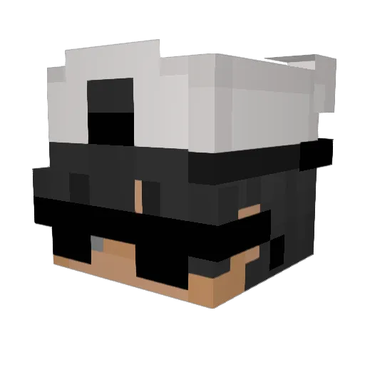 AleexCR_ Minecraft avatar head, 3D render