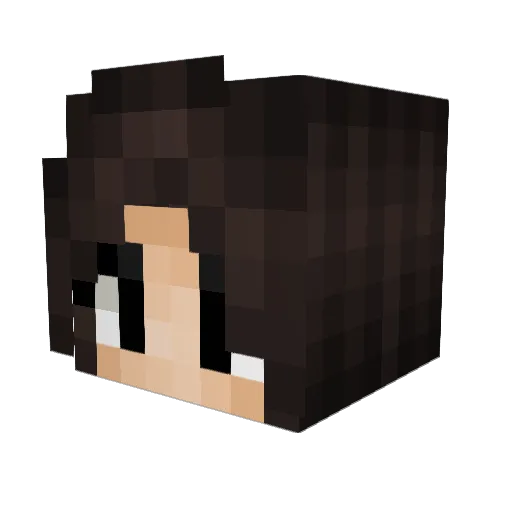 Aleeza1 Minecraft avatar head, 3D render