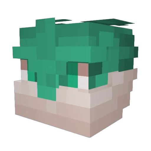 AlefVT Minecraft avatar head, 3D render