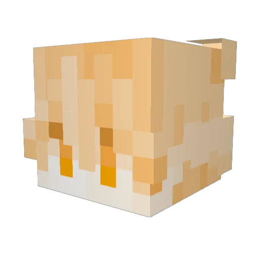 Alehkk Minecraft avatar head, 3D render