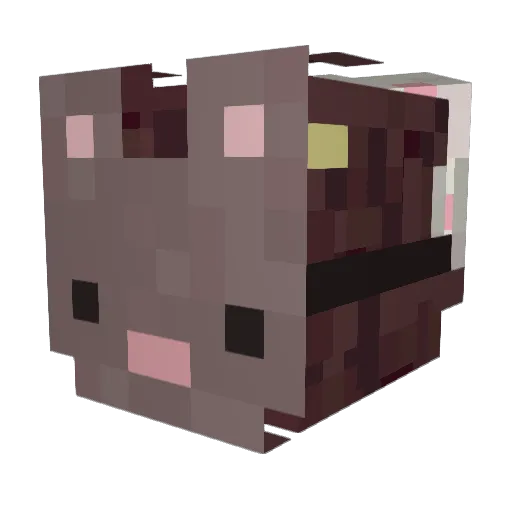 Alehna Minecraft avatar head, 3D render