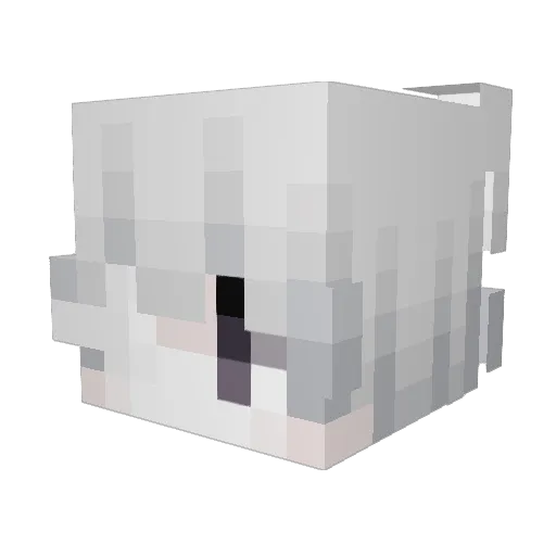 Aleixjrr Minecraft avatar head, 3D render