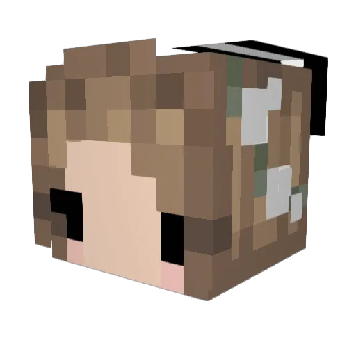 AlejahNyah Minecraft avatar head, 3D render