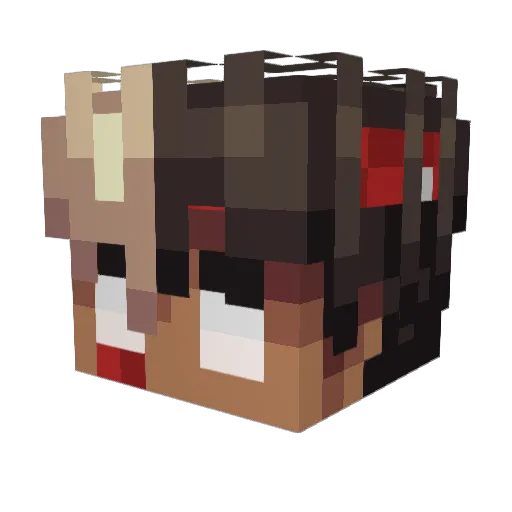 AlejandroCo11 Minecraft avatar head, 3D render