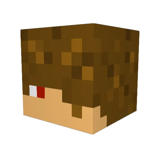 AlejandroWilson Minecraft avatar head, 3D render