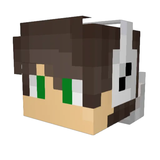Alejito_356 Minecraft avatar head, 3D render