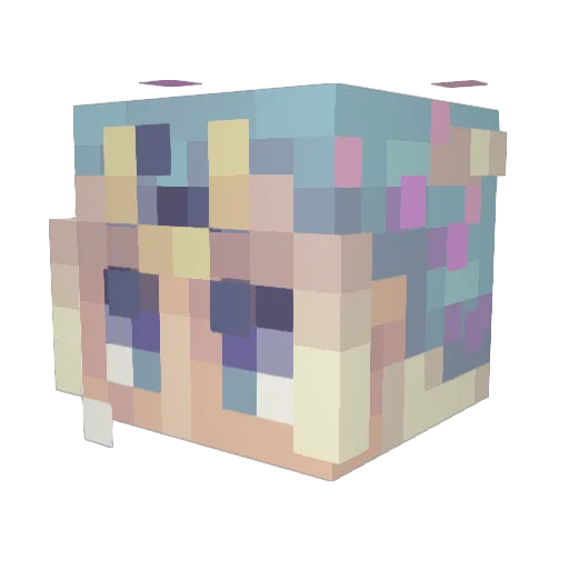 Alejjj_ Minecraft avatar head, 3D render