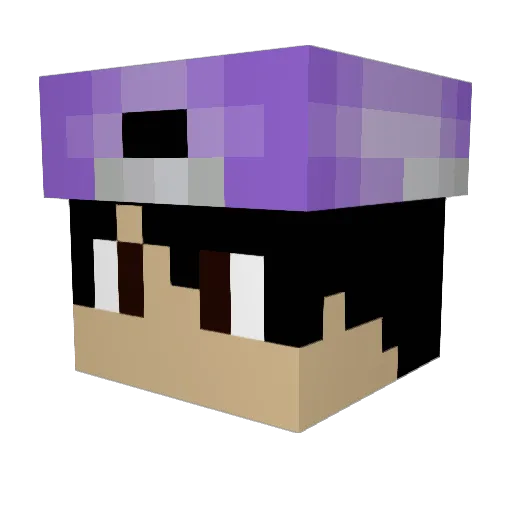 AlejoRojas Minecraft avatar head, 3D render