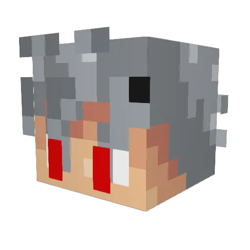AleksGeemd Minecraft avatar head, 3D render