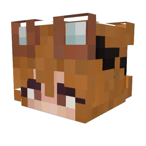AleksTheAleks Minecraft avatar head, 3D render