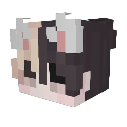Aleks_2007 Minecraft avatar head, 3D render