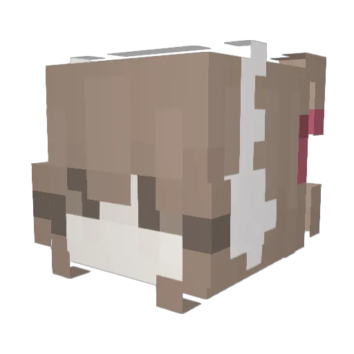Aleksaandraa Minecraft avatar head, 3D render