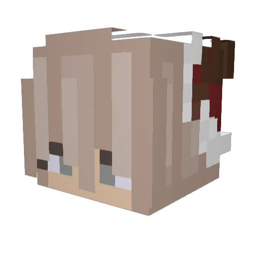 Alenka19 Minecraft avatar head, 3D render